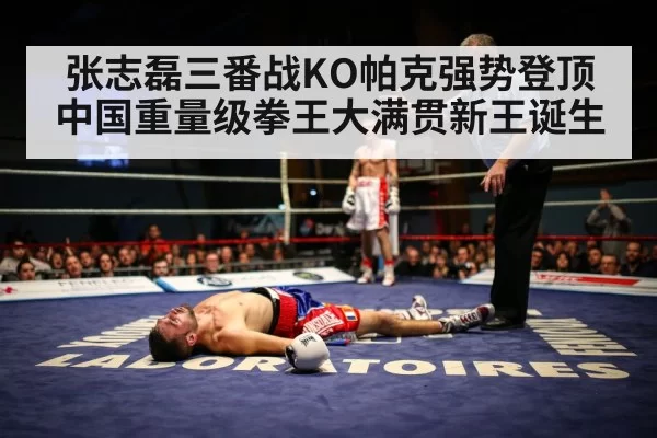 boxer knockout